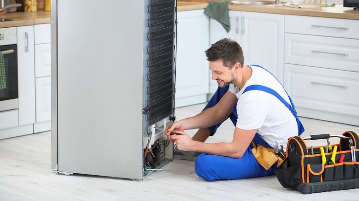 Fridge Repairs
